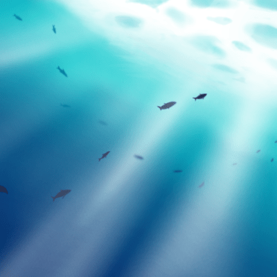 hakujitumu (feat. VY1V4)