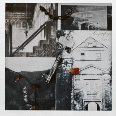 the color of your flower