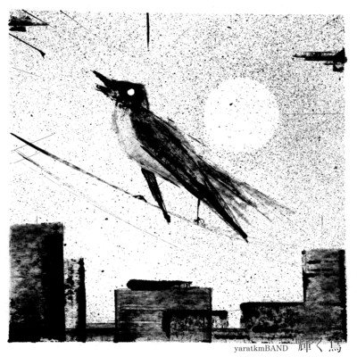 shining bird