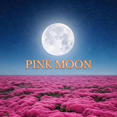 PINK MOON