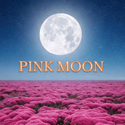 PINK MOON
