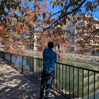 A Song For The Mortal (feat. nibbonjin)