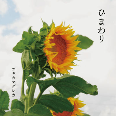 Himawari (demo ver.)