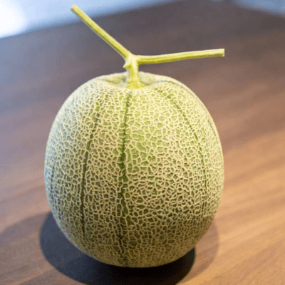 Melon