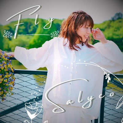 Fly
