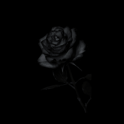 Dark Low