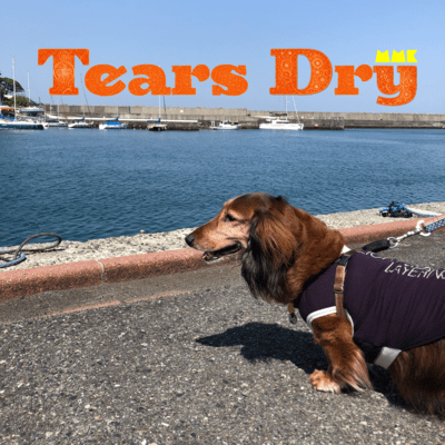 Tears Dry