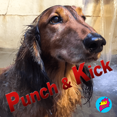 Punch & Kick