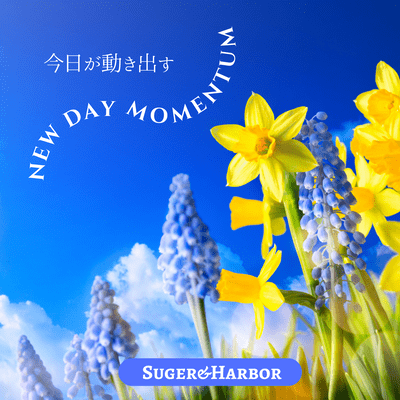 The Day Begins - New Day Momentum