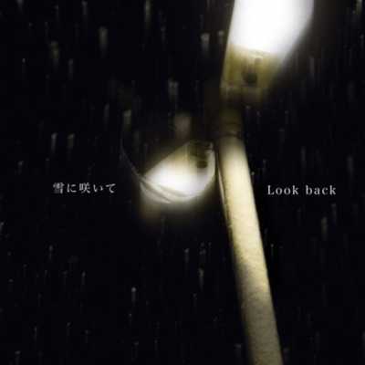 Blooming in the snow