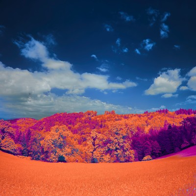 I'm Still Dreaming (feat. KASANE TETO)