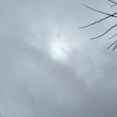 White glare
