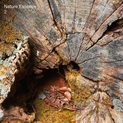 Nature Essence 2