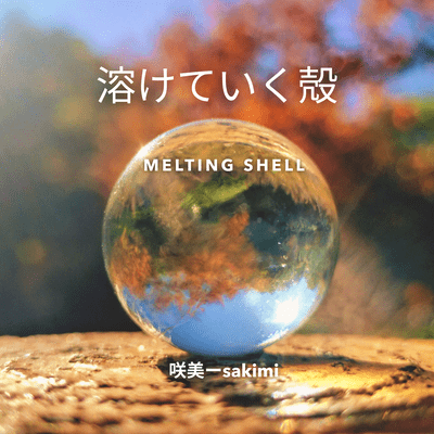 MELTING SHELL