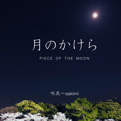Piece of the Moon