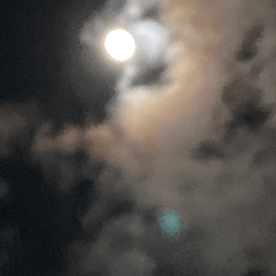 Rock in Summer (Rock)