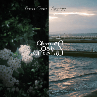 Bossa Cowa/Aventure