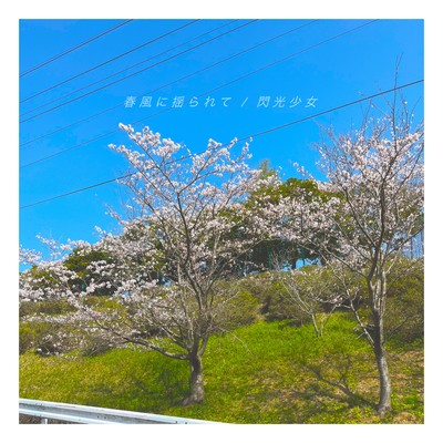 Swaying in the spring breeze