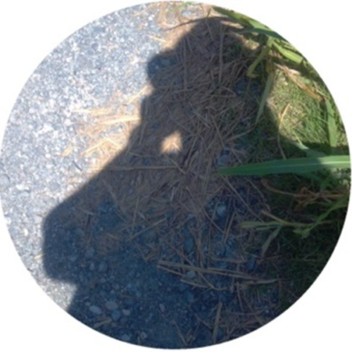 AI creator Shirakawa Aki