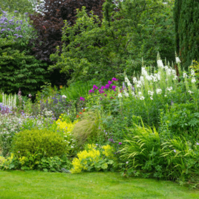 Hortus