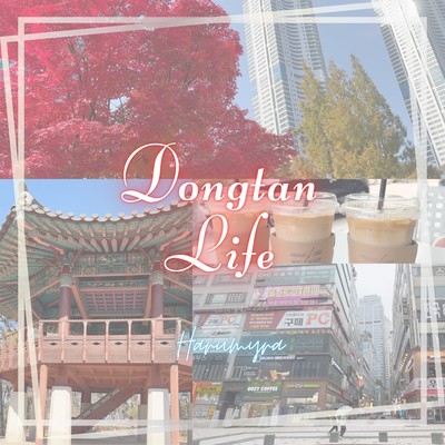 Dongtan Life
