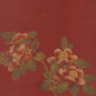 Camellias...