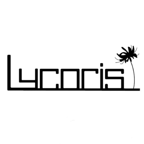 Lycoris