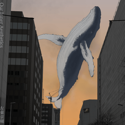 Our Inner Aesthetics