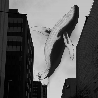 Whale's Calling