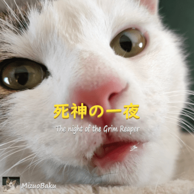 The night of the Grim Reaper