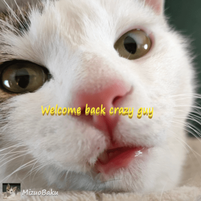 Welcome back crazy guy