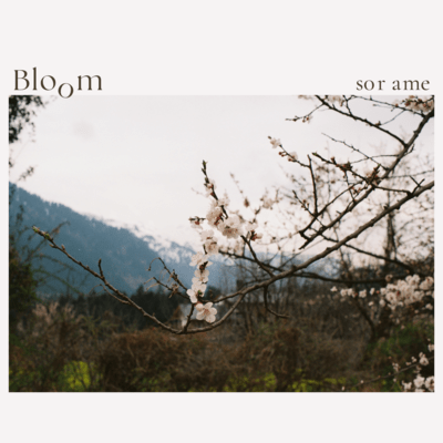 Bloom