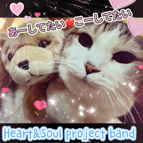Heart and soul project band