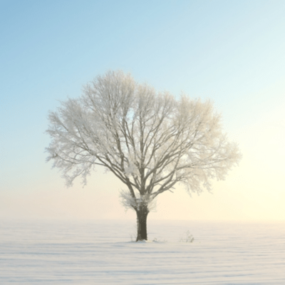 On a silvery winter morning ~angels dance in a white world ~