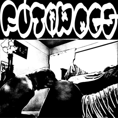 dogs
