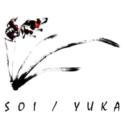 SOI