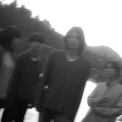 nekonokaode