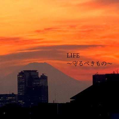 LIFE -Things Worth Protecting-