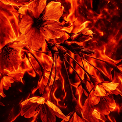 Spiral Inferno