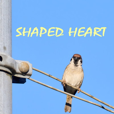 SHAPED HEART