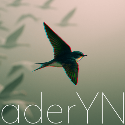 aderYN