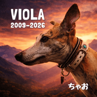 VIOLA (2009-2026)