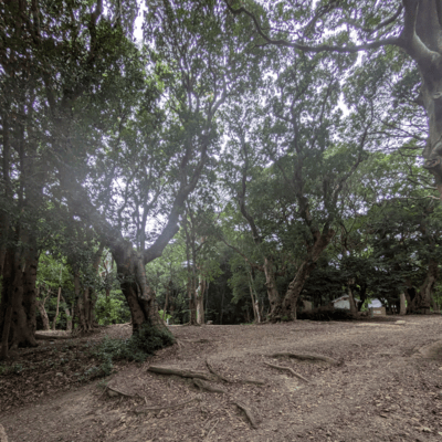 My heart feels empty