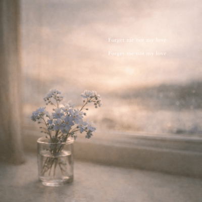 Forget me not