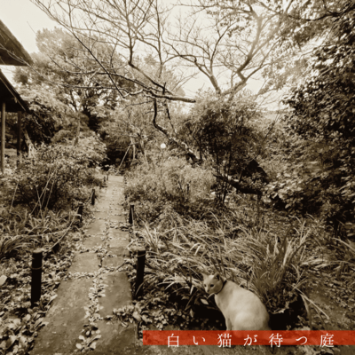 Koton's Garden (feat. Kumiko Hirota)