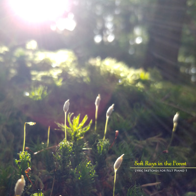Soft Rays in the Forest (Lyric Sketches for Felt Piano 1)