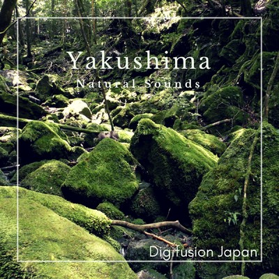 Yakushima Natural Sounds