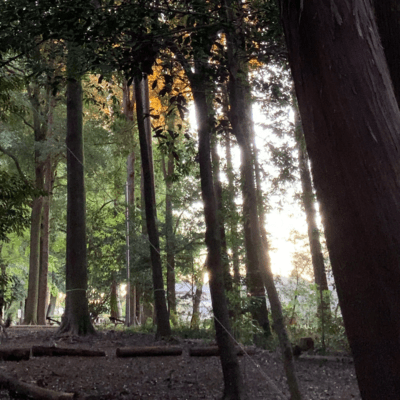 FUURI (feat. SAKURA)