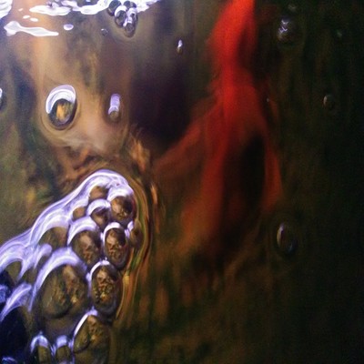 Avant-garde goldfish