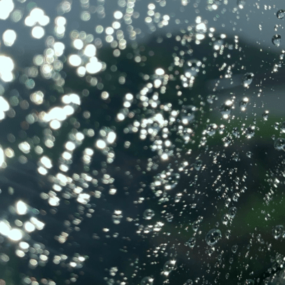 Light by the Window